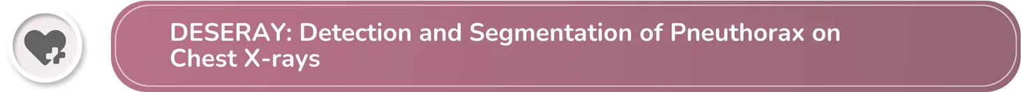 DESERAY: Detection and Segmentation of Pneuthorax on Chest X-Rays
