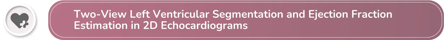 Two-View Left Ventricular Segmentation and Ejection Fraction Estimation in 2d Cardiogram