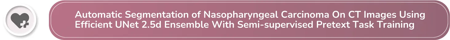 Automatic Segmentation Of Nasopharyngeal Carcinoma On CT Images Using Efficient UNet 2.5d Ensemble With Semi-supervised Pretext Task Training