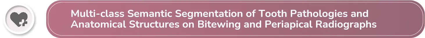 Multi-class Semantic Segmentation of Tooth Pathologies and Anatomical Structures on Bitewing and Periapical Radiographs